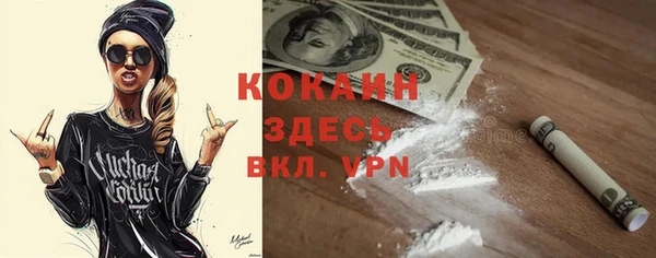 шишки Бронницы
