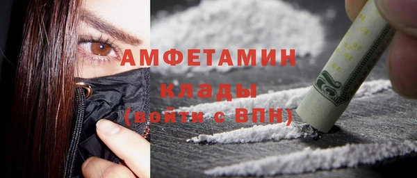 шишки Бронницы