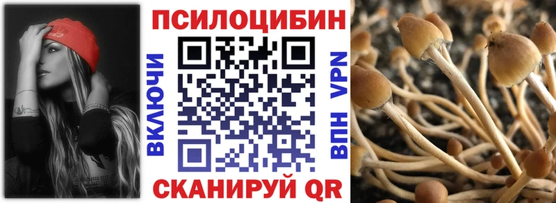 блэк спрут маркетплейс  Верещагино  Псилоцибиновые грибы ЛСД 